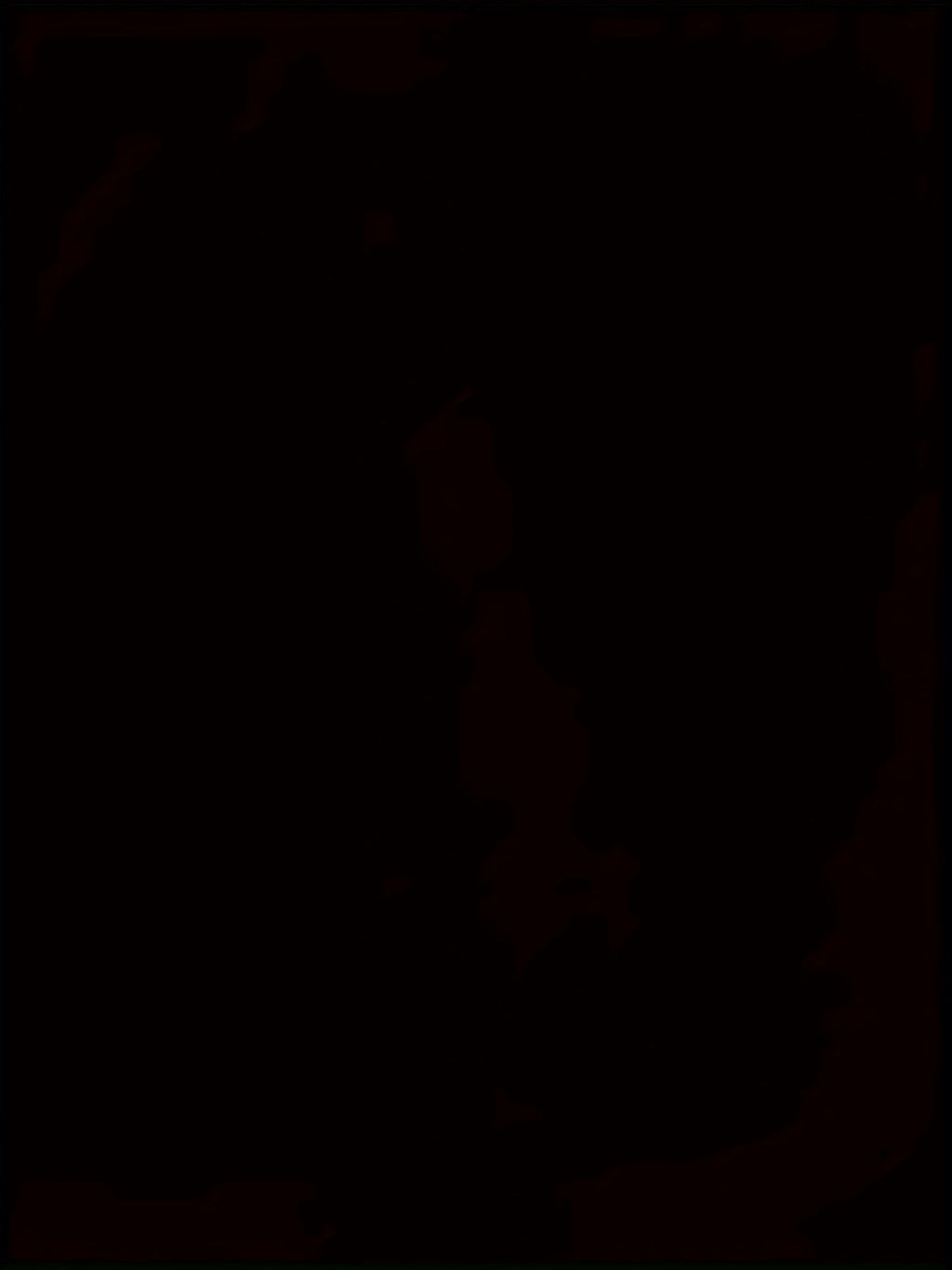 WildVision 3D Digital Wolf Eye Men’s Round Neck T-Shirt