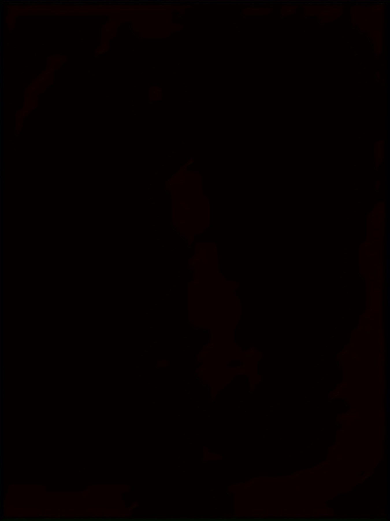 WildVision 3D Digital Wolf Eye Men’s Round Neck T-Shirt